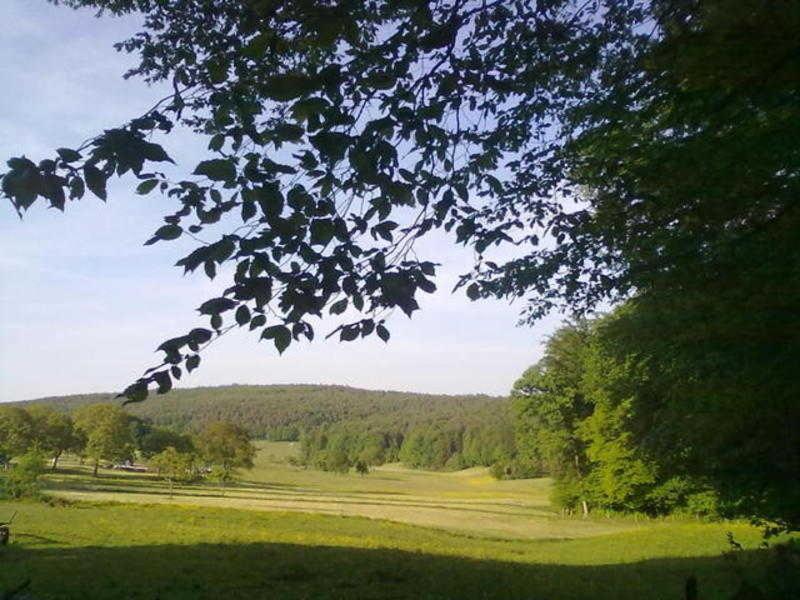 Ferienwohnungen Zeltnerhof Breitenbrunn  エクステリア 写真